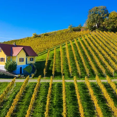 Weingut Bauer Gamlitz