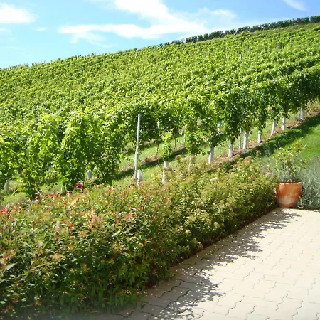 度假居 Weingut Bauer