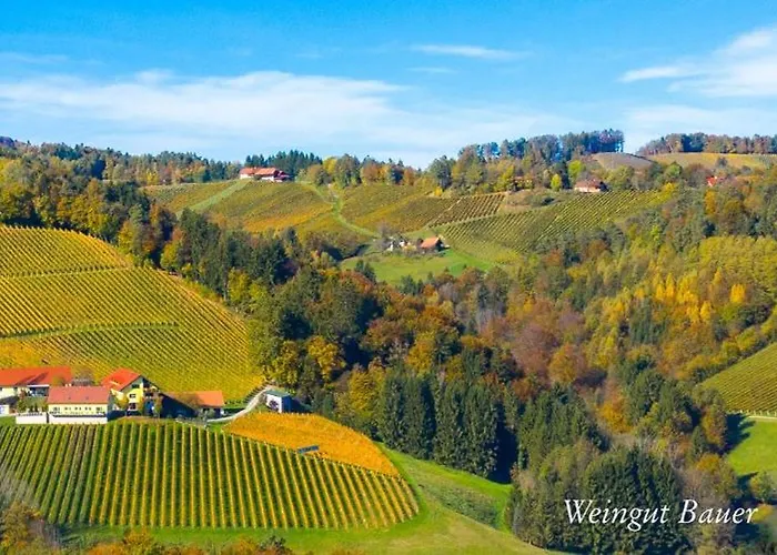 Weingut Bauer *