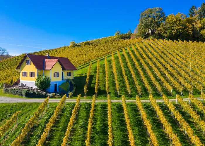 Weingut Bauer Gamlitz