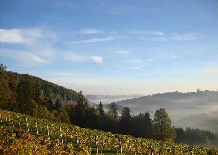 Weingut Bauer Vakantiehuis *